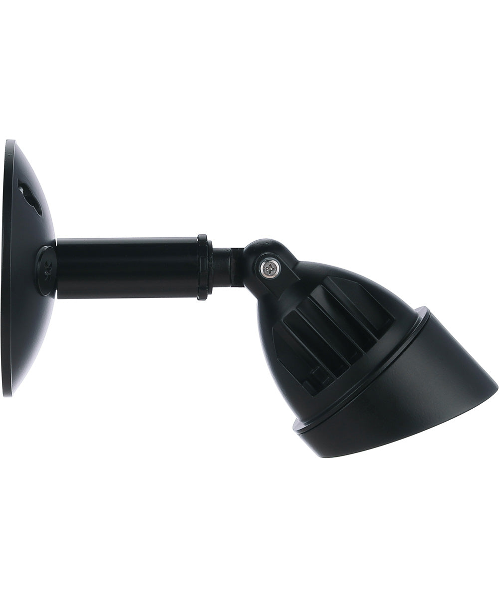 LED Flood Outdoor Lighting Midnight