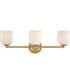 Ava 3-Light Medium Three Light Vanity in Lacquered Brass