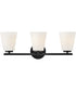 Bri 3-Light Medium Three Light Vanity in Black