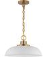 Colony 1-Light Pendant Matte White / Burnished Brass