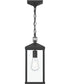 Cantley Outdoor Pendant with Clear Glass Panels Matte Black