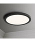 Chip 9 inch 18W RD LED Flush Mount 3000K Black