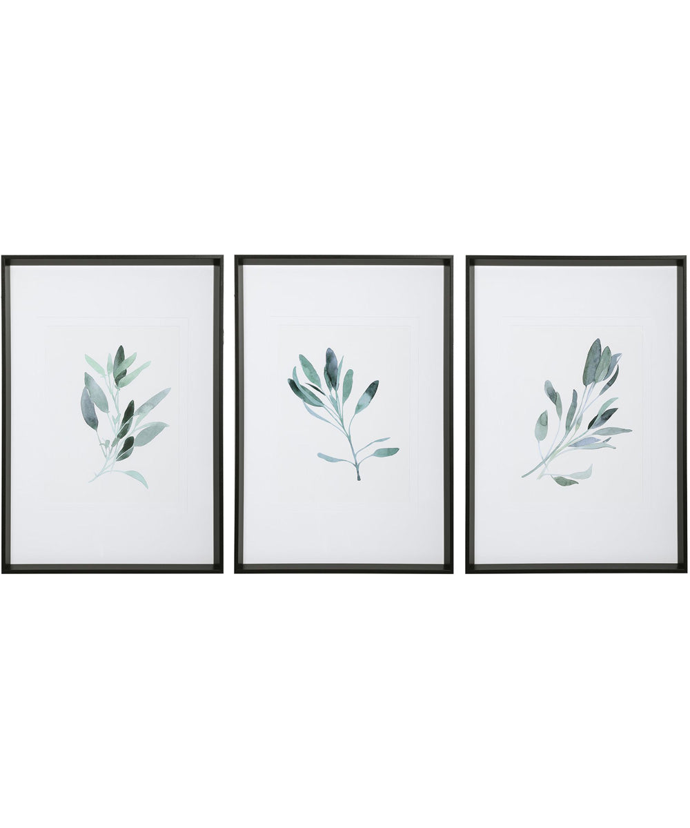 Simple Sage Watercolor Prints Set of 3
