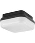 Hard Nox 10" Square Flush Mount Light Black