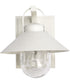 Ridge 1-Light Outdoor White