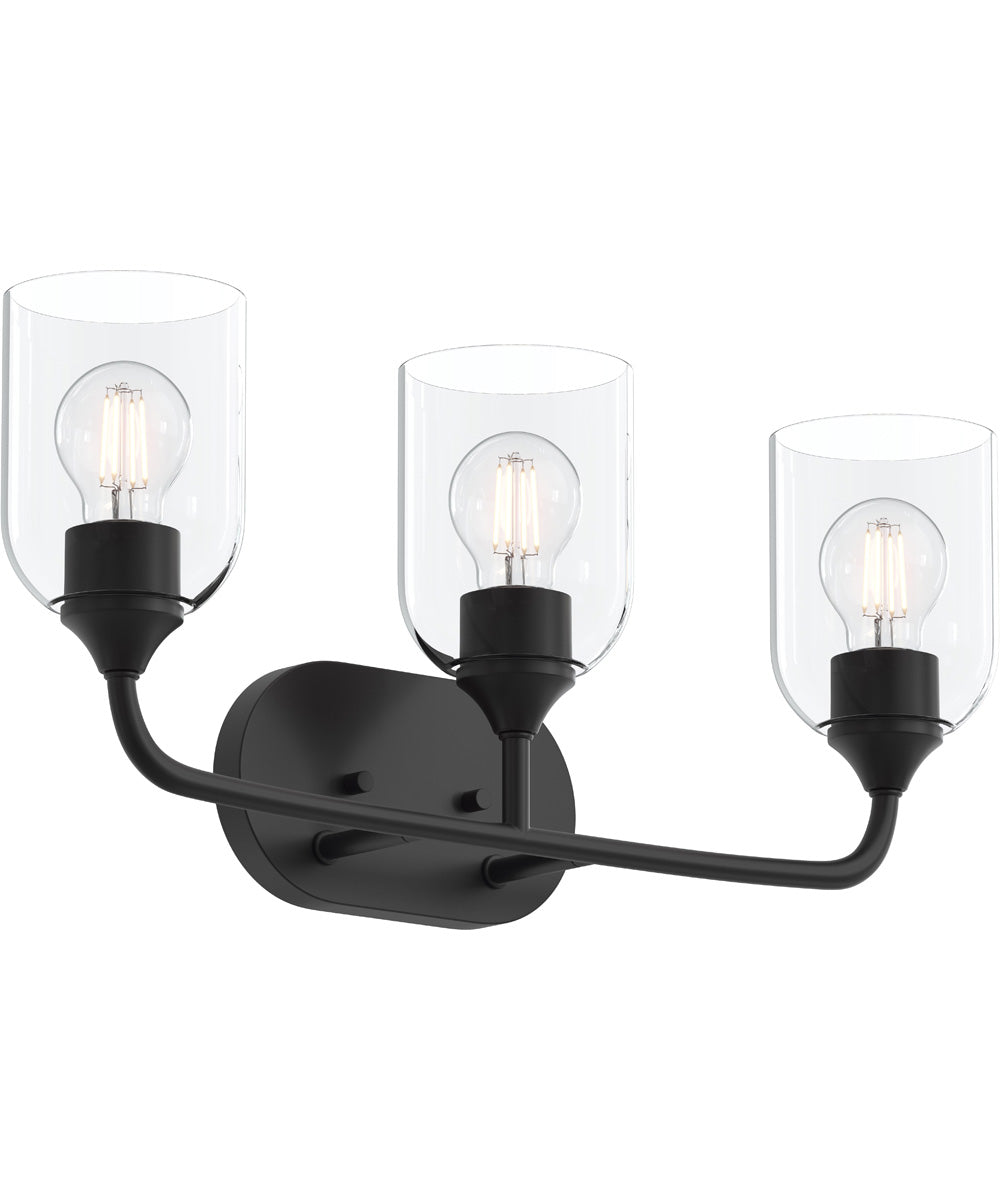 Ilia 3-Light Bath Vanity with Clear Glass Shade Matte Black