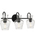 Hollis 3-light Bath Light Matte Black