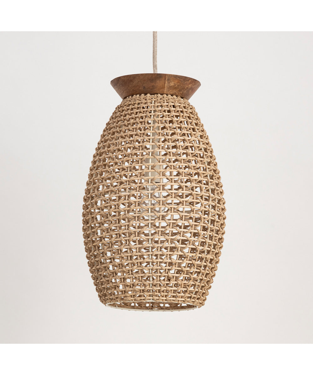 Cotswold 1-Light Pendant