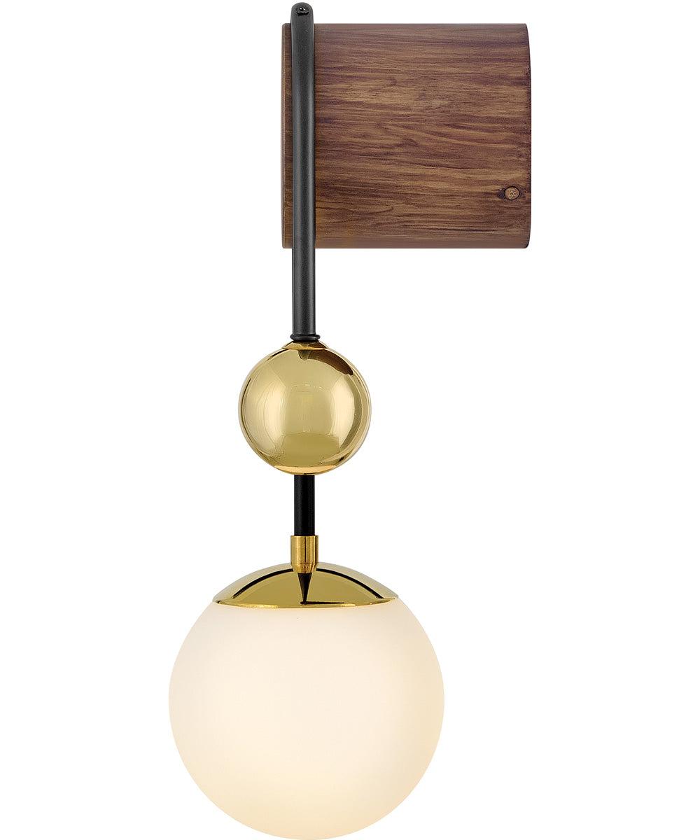 Auggie 1-Light Medium Single Light Sconce in Bright Brass