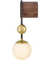 Auggie 1-Light Medium Single Light Sconce in Bright Brass