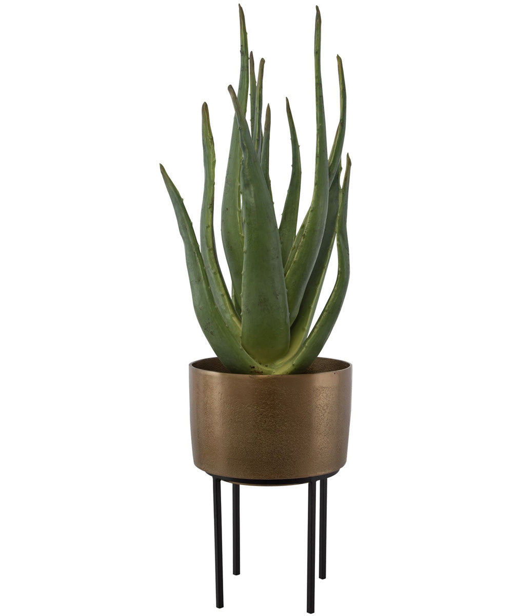 Arabia Aloe Planter
