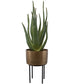 Arabia Aloe Planter