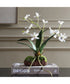 Clovis Orchid Drop-In