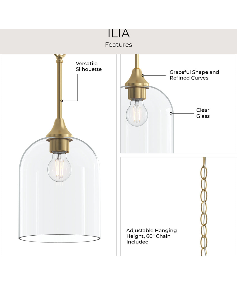 Ilia 1-Light Pendant with Clear Glass Shade Brushed Gold