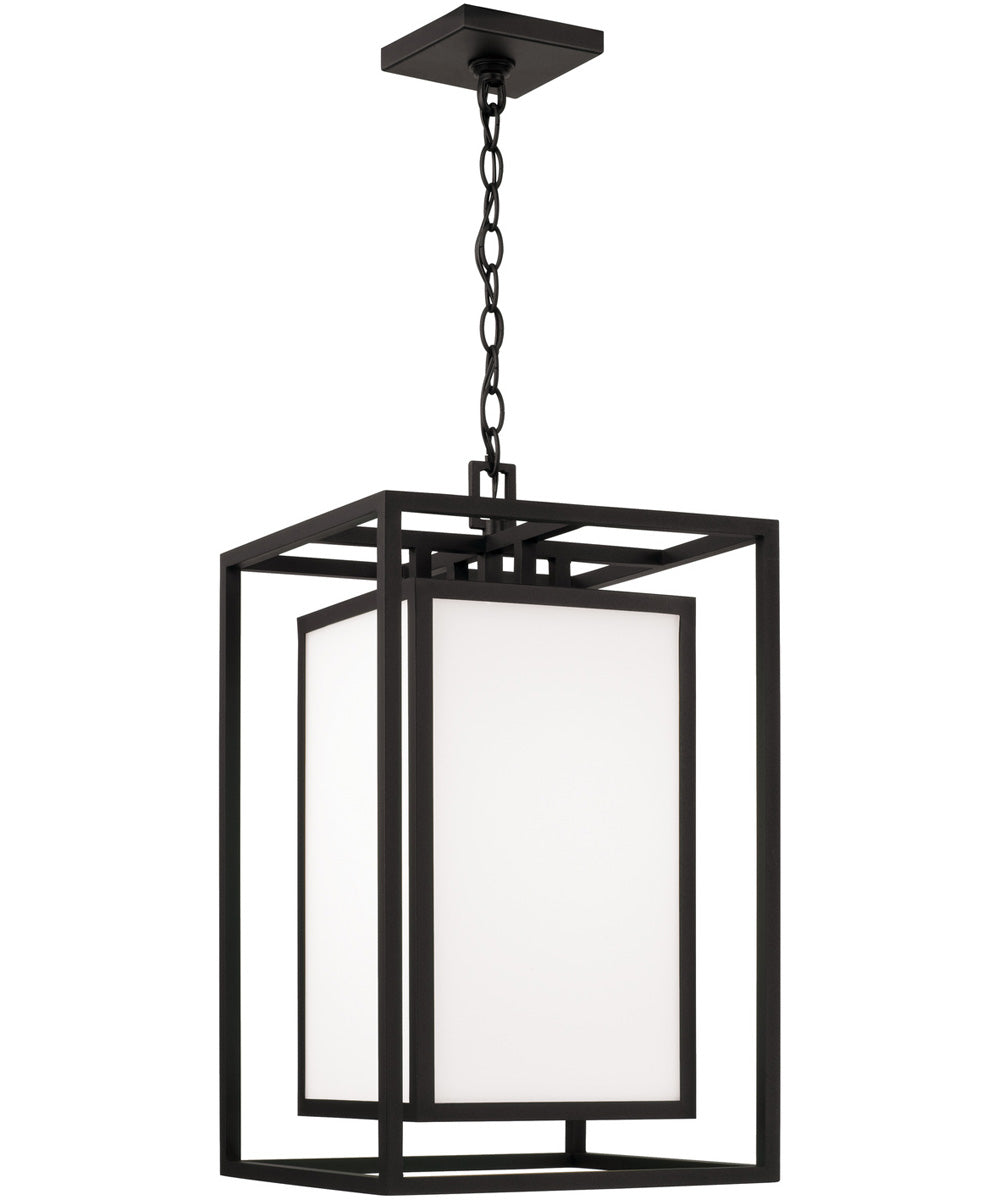 Aiden 1-Light Outdoor Hanging-Lantern Black