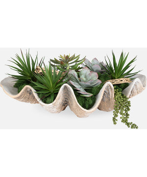 Seaside Breeze Succulents