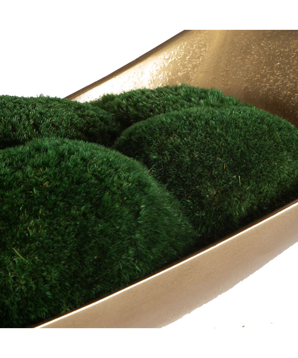 Venice Moss Centerpiece