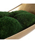 Venice Moss Centerpiece