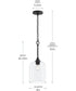 Ilia 1-Light Pendant with Clear Glass Shade Matte Black