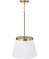 Drake 1-Light Pendant Aged Brass