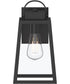 Hedry Medium Outdoor Wall Lantern with Clear Glass Panels Matte Black