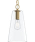 Jheni 1-Light Pendant with Clear Glass Shade Brushed Gold