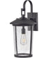 Banks 1-Light Large Wall Mount Lantern in Black