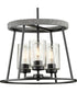 Laramie 3-Light Rustic Modern Clear Seeded Glass Chandelier Matte Black