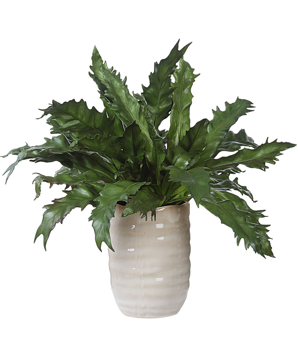 Verdure Fern In Glazed Pot