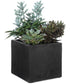 Greystone Indoor-Outdoor Succulent