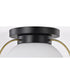 Lakeshore 1-Light Close-to-Ceiling Matte Black