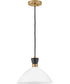 Simon 1-Light Medium Single Light Convertible Pendant in Black