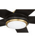 Frye 52" 5-Blade Indoor ceiling Fan 1-Light Fan Satin Brass