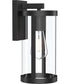 Kagen Medium Outdoor Wall Light with Clear Glass Panels Matte Black