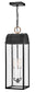 Campbell 3-Light Large Hanging Lantern in Black