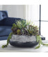 Yuma Succulent Centerpiece