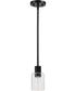 Clarksville 1-Light Pendant Matte Black