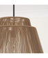Jasper 1-Light Outdoor Hanging-Lantern Sienna and Black
