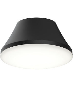 Avra Medium 2-Light Flush Mount with Etched White Glass Shade Matte Black