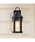 Wilton 1-Light Outdoor Matte Black