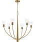 Jheni 6-Light Chandelier with Clear Glass Shades Brushed Gold