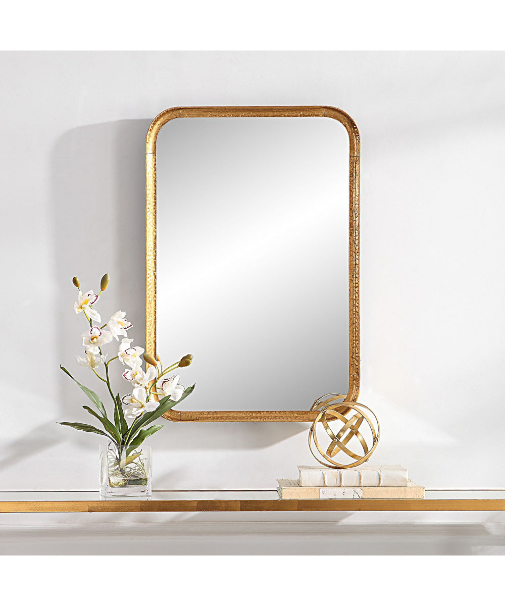 20x30" Wall Mirror Lightly Antiqued Gold Leaf with Glaze
