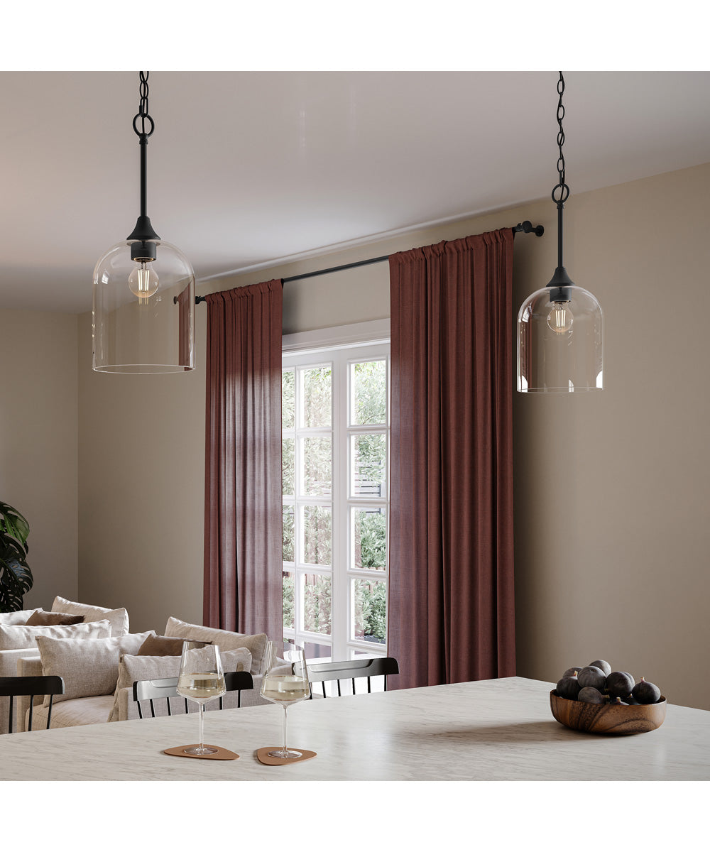 Ilia 1-Light Pendant with Clear Glass Shade Matte Black