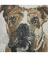 Dog Days Framed Prints Set of 4