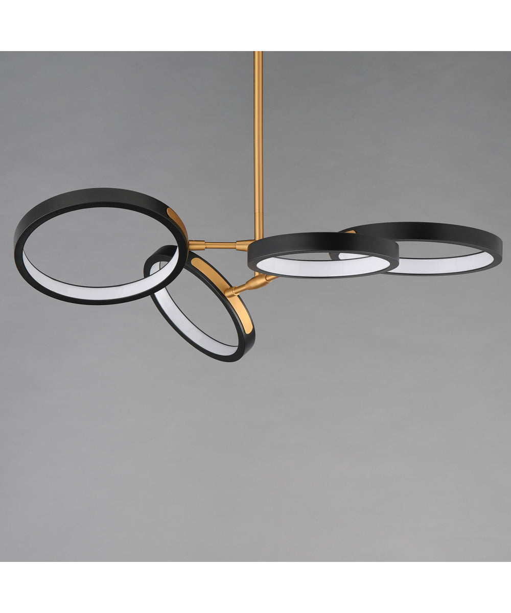 Hoopla 4-Light LED Pendant Black / Gold