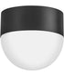 Bardi 1-Light Small Flush Mount in Black
