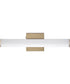 Rail 18 inch LED Bath Vanity 5CCT Natural Aged Brass