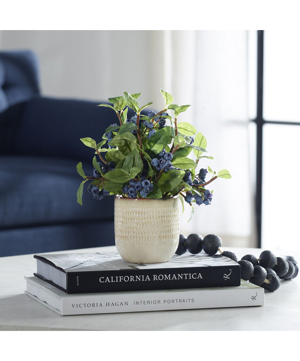 Blueberry Fields Accent