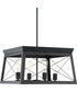 Briarwood 4-Light Cerused Black Oak/Black Farmhouse Chandelier Light Textured Black