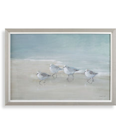 Tranquil Shorebirds On The Sand Framed Print